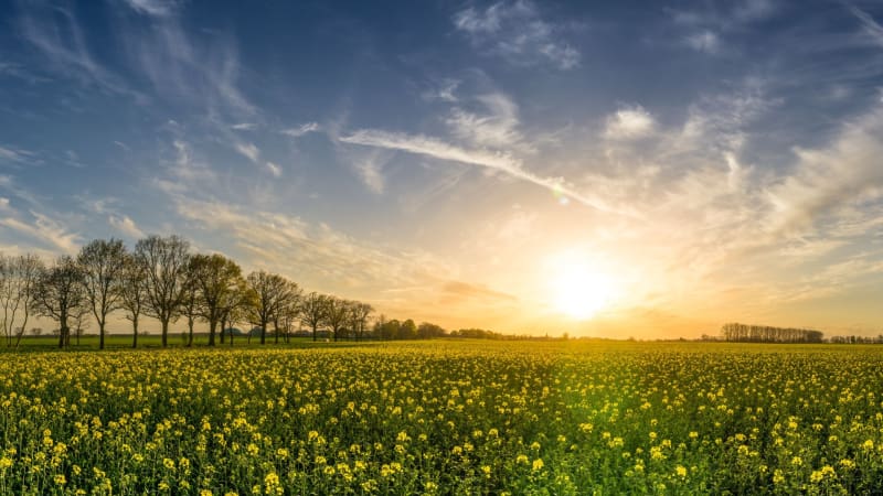 Najdłuższy dzień w roku