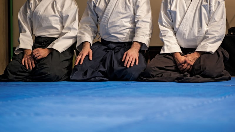 Aikido-Techniken